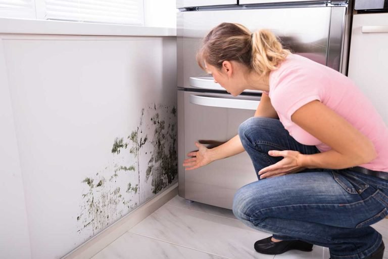 Mold Problem