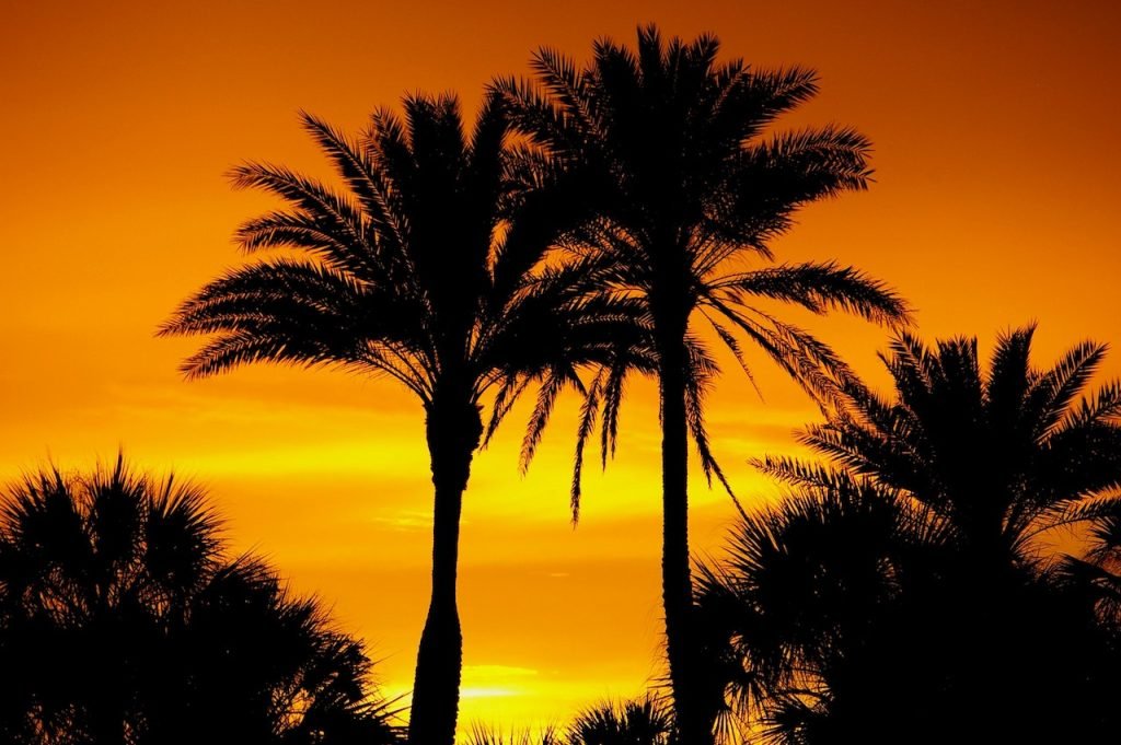 What Is It Like Living in Melbourne, FL