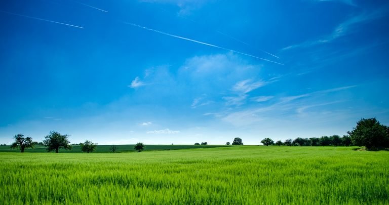 US states to buy land
