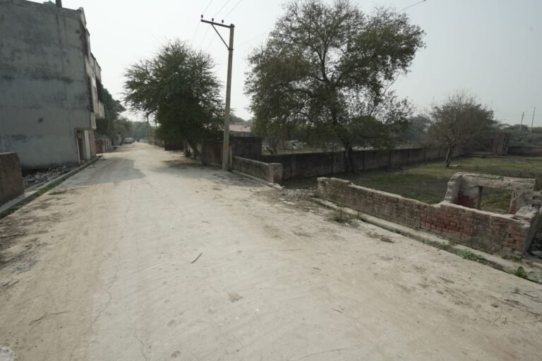 Luxury Plots in Delhi: Trends and Insights